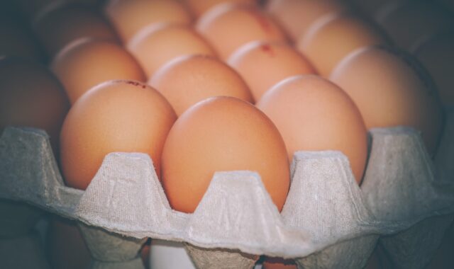 eggs, chicken eggs, chicken product, fragile, food, eggshell, shell, brown, natural product, edible, eggs, eggs, eggs, eggs, chicken eggs, chicken eggs, chicken eggs, chicken eggs, chicken eggs, fragile, eggshell