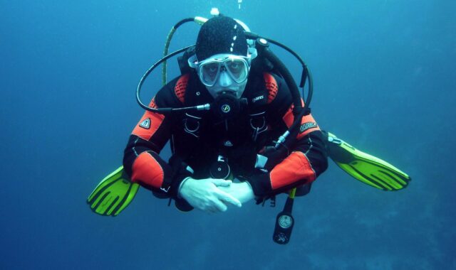 diver, scuba divers, dive, underwater, underwater world, diving suit, sea, water, breathing apparatus, nature, scuba diving, air bubbles, hover
