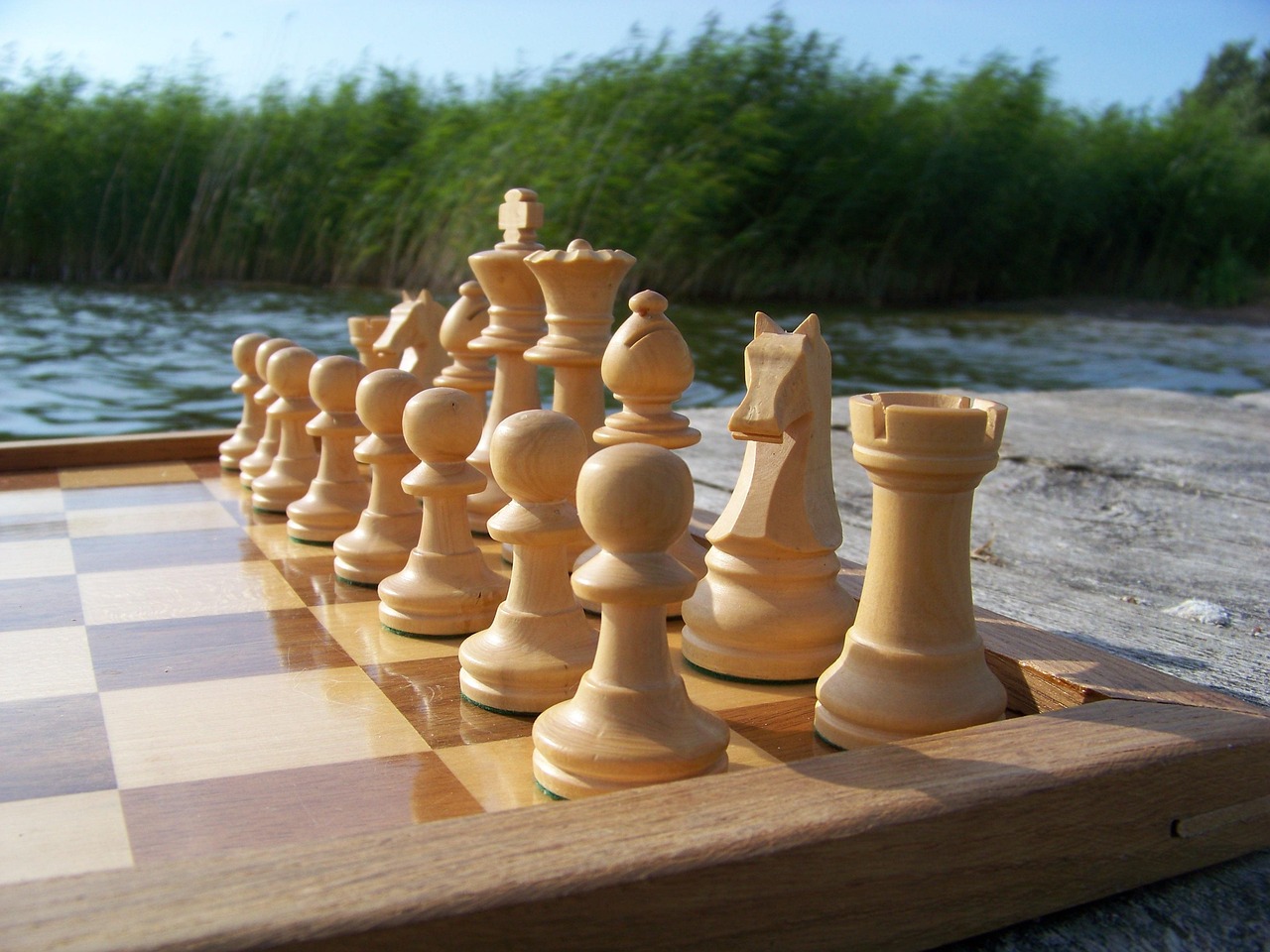 chess, chess pieces, the basic position, staunton, chess, chess, chess, chess, chess