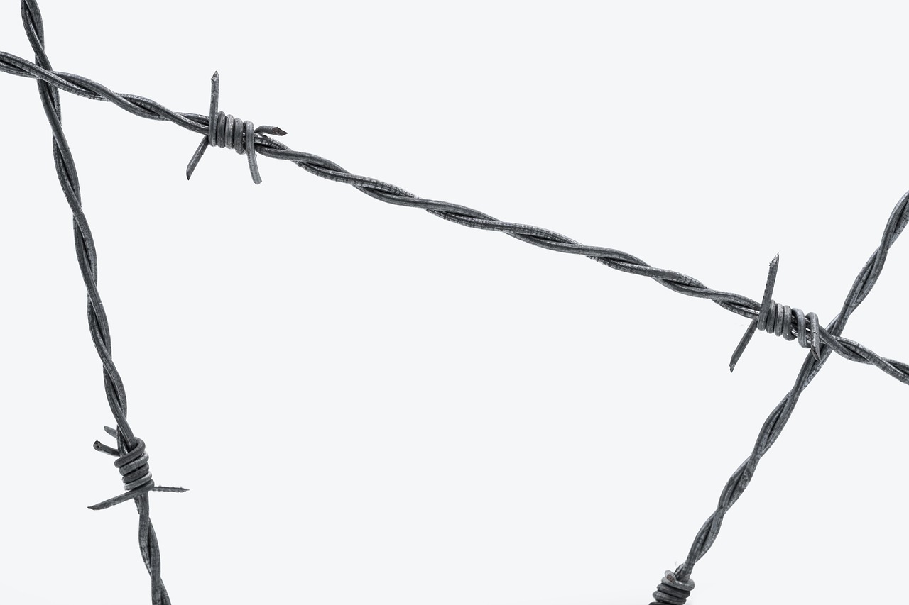 barbed wire, fence, wire, delimitation, security, barrier, validation, protection, protect, danger, dangerous, barbed wire, barbed wire, barbed wire, barbed wire, barbed wire