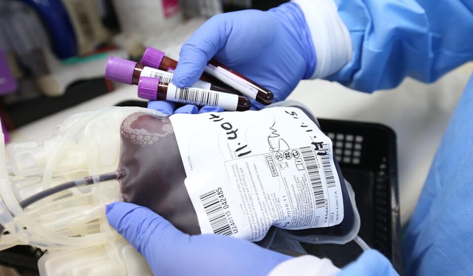 donation, donate, plasma, donor, life, biology, transfusion, give, health, medical, blue health, blue medical, blue life, blue blood