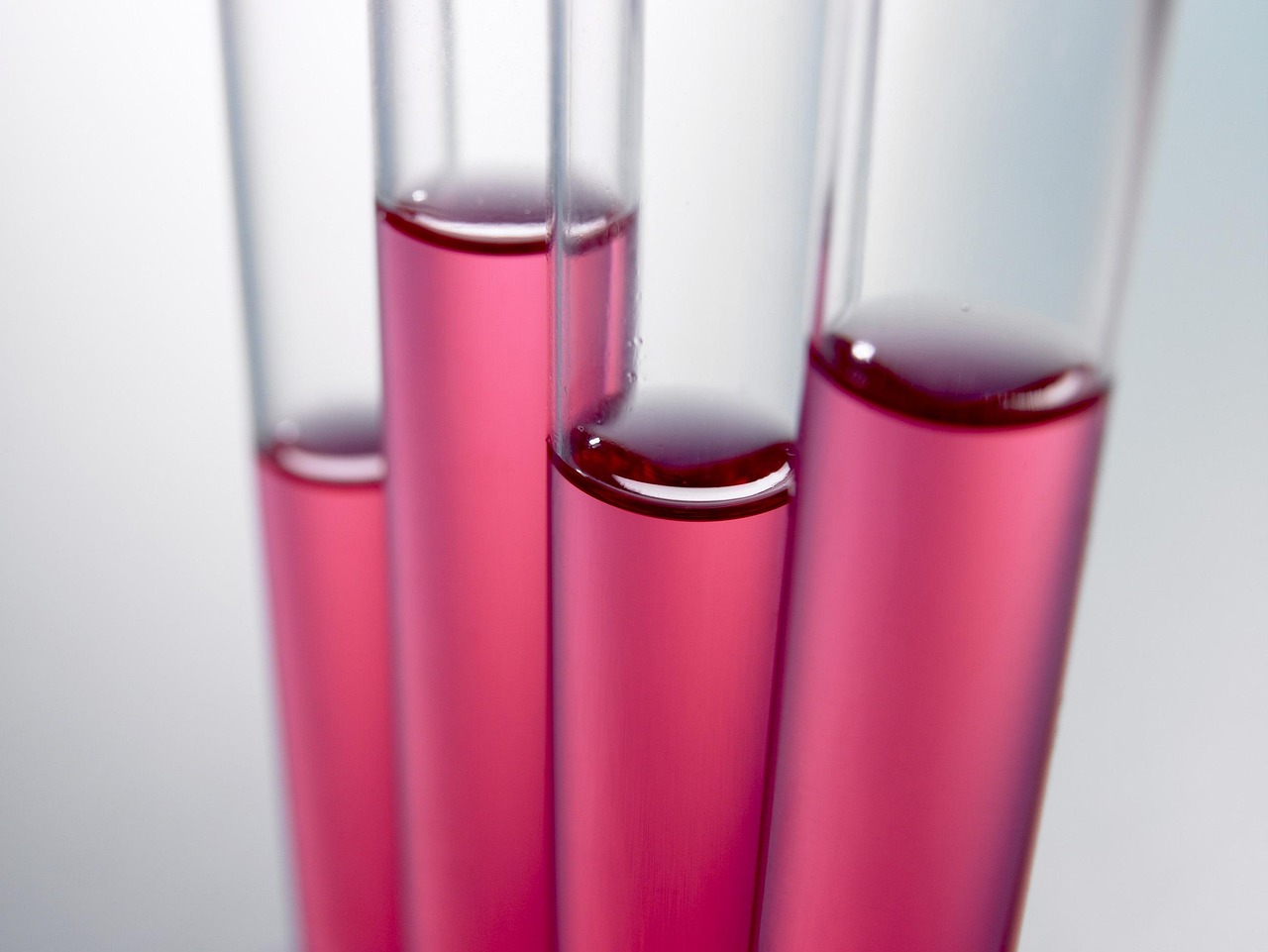 test tubes, chemistry, glass, red, liquid, pink, medical, pharmaceutical, laboratory, lab, test tubes, chemistry, chemistry, chemistry, chemistry, chemistry, laboratory, laboratory, lab, lab, lab