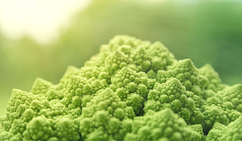 romanesco, vegetables, green, food, vitaminhaltig, vitamins, vegetarian, fresh, vegan, raw food, food, vegan, vegan, vegan, vegan, vegan