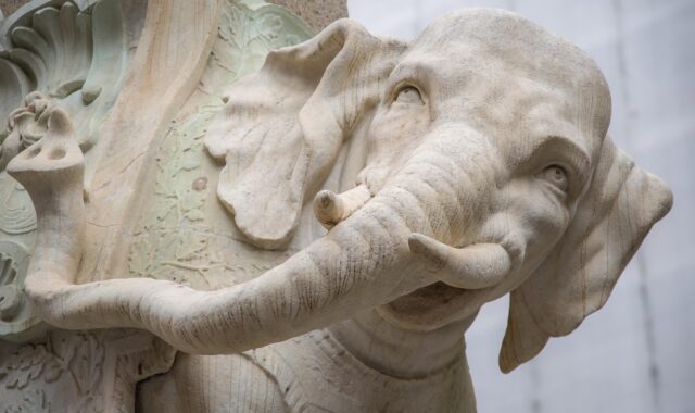 elephant, pachyderm, statue, stone, rome, piazza della minerva, italy, europe, tourism, rome, rome, rome, rome, rome
