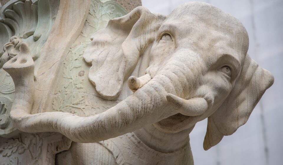 elephant, pachyderm, statue, stone, rome, piazza della minerva, italy, europe, tourism, rome, rome, rome, rome, rome