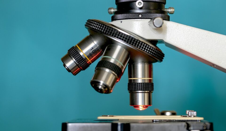 microscope, slide, research, close-up, test, experiment, sample, tool, biotechnology, analysis, equipment, medical, discovery, plate, microscope, microscope, microscope, microscope, microscope