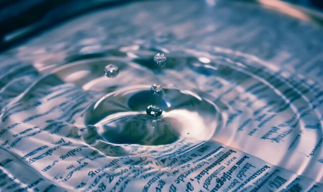 drop, splash, impact, ripples, water, nature, ripple effect, waves, macro, drip, liquid, surface tension, water surface, droplets, clean, clear, ripple, transparent