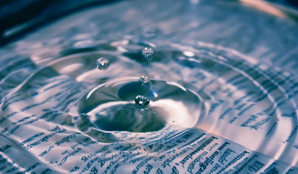 drop, splash, impact, ripples, water, nature, ripple effect, waves, macro, drip, liquid, surface tension, water surface, droplets, clean, clear, ripple, transparent