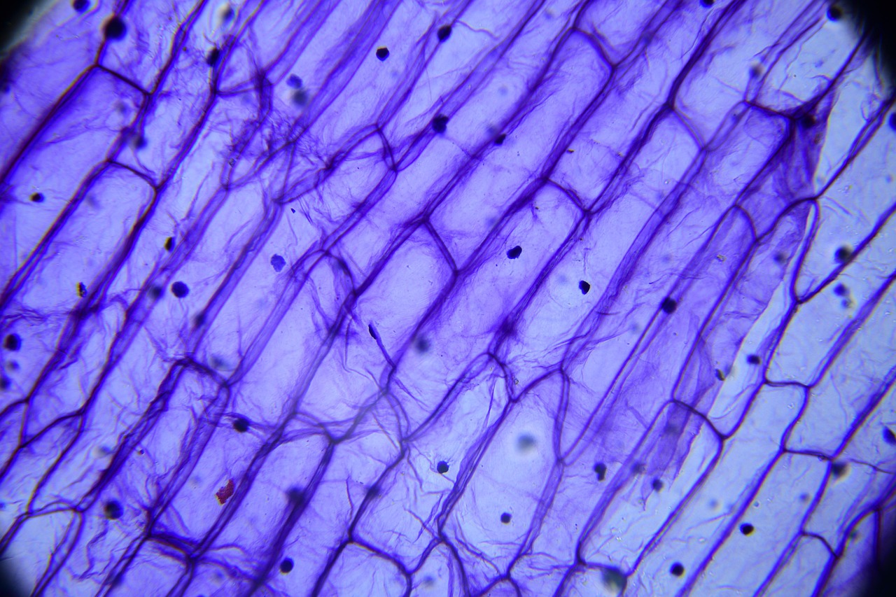 the drug, biology, microscope, microscope, microscope, microscope, microscope, microscope