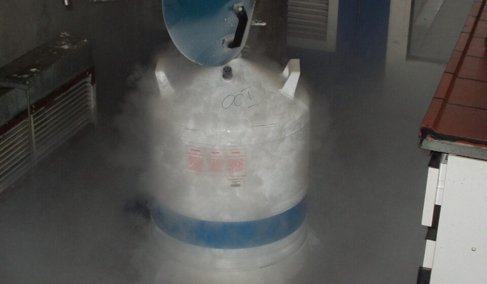chemistry, laboratory, nitrogen, fluid, cold, nitrogen, nitrogen, nitrogen, nitrogen, nitrogen