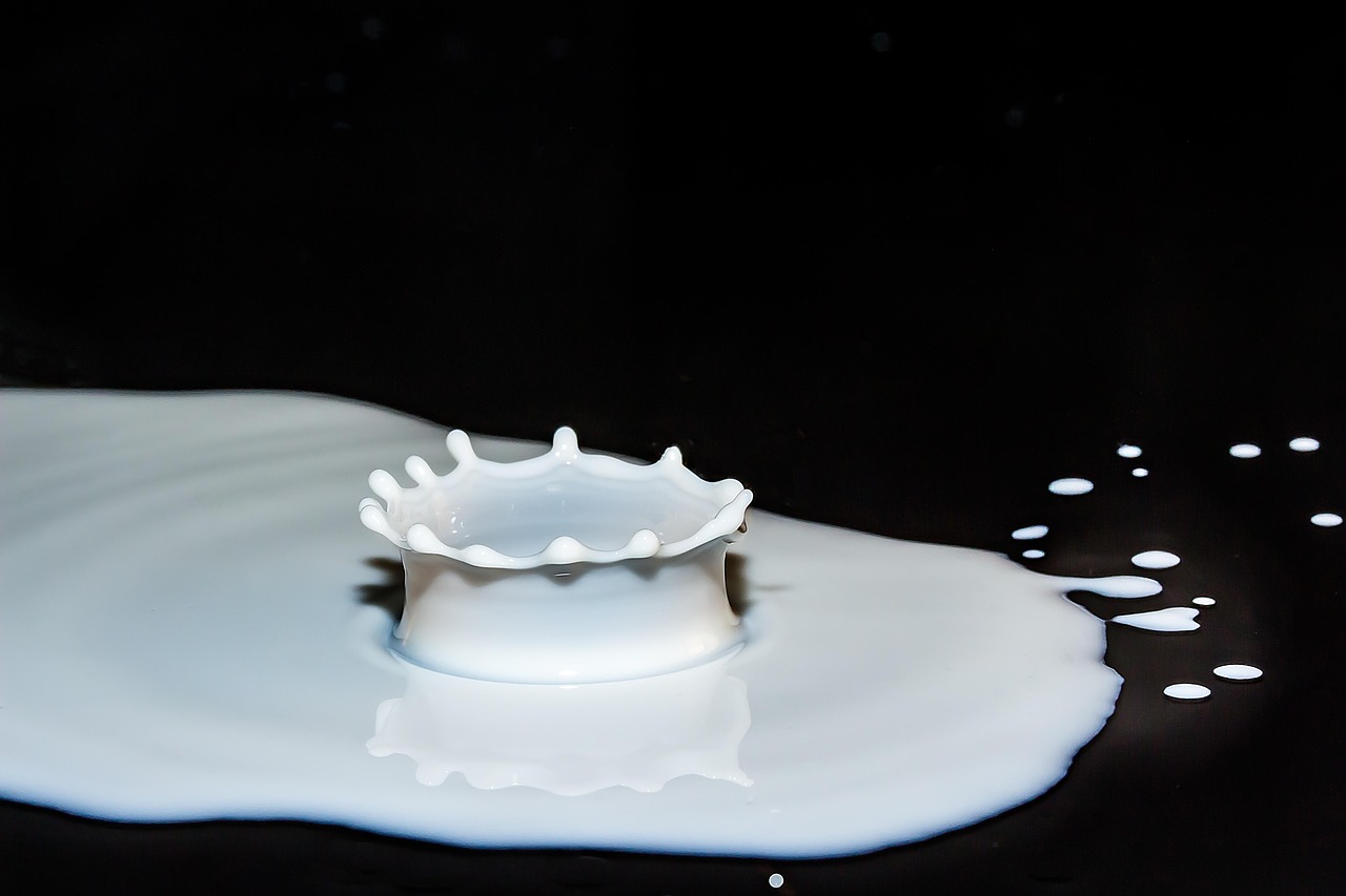 drops of milk, spray, splash, surface tension, drip, milk, drink, calcium, dairy, dairy product, delicious, milk, milk, milk, milk, milk
