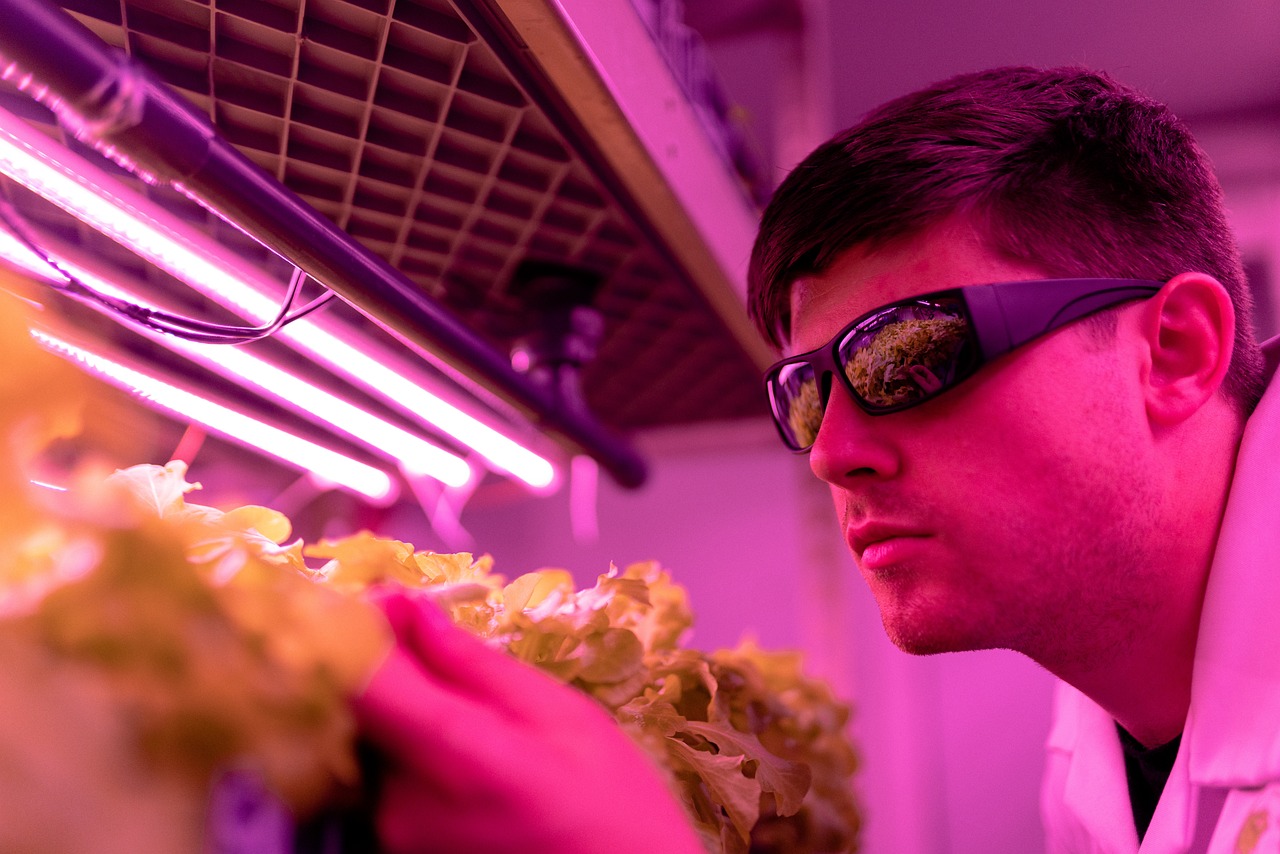 engineer, engineering, pink, indoorfarm, farming, agriculture, environment, lettuce, crops, uv, sunglasses, science, research, farm