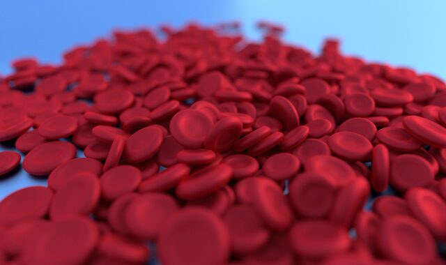 red blood cell, science, hemoglobin, microbes, biology, health, 3d, plasma, micro, medical, scientist, anemia, experiment, connectcompetition, anemia, anemia, anemia, anemia, anemia
