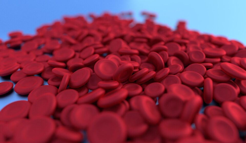 red blood cell, science, hemoglobin, microbes, biology, health, 3d, plasma, micro, medical, scientist, anemia, experiment, connectcompetition, anemia, anemia, anemia, anemia, anemia