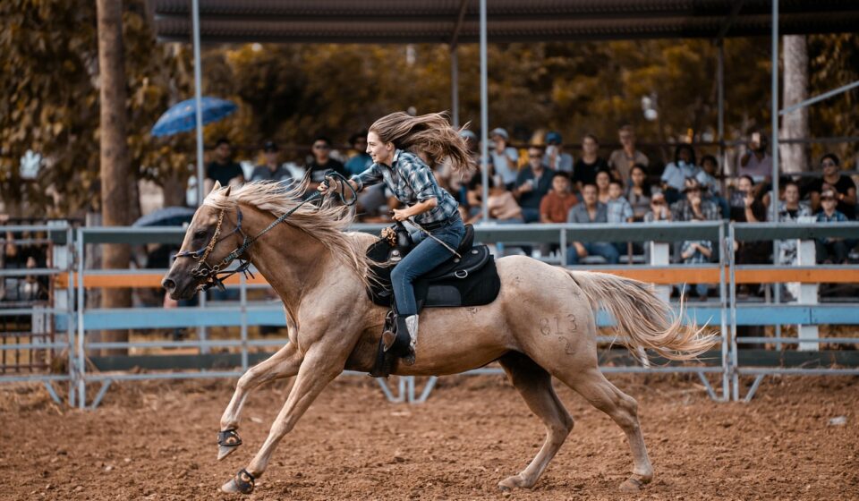 horse, nature, rider, rodeo, cowboy, show, agriculture, animal, livestock