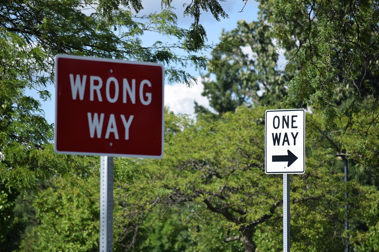 sign, street, road, road signs, road sign, direction, street signs, way, street sign, roadsign, warning, travel, transportation, caution, danger, drive, wrong, right, driving, red, arrow, correct, incorrect, rules, laws, green travel, green road, green arrow, green street, green law, wrong, wrong, correct, rules, rules, rules, rules, rules