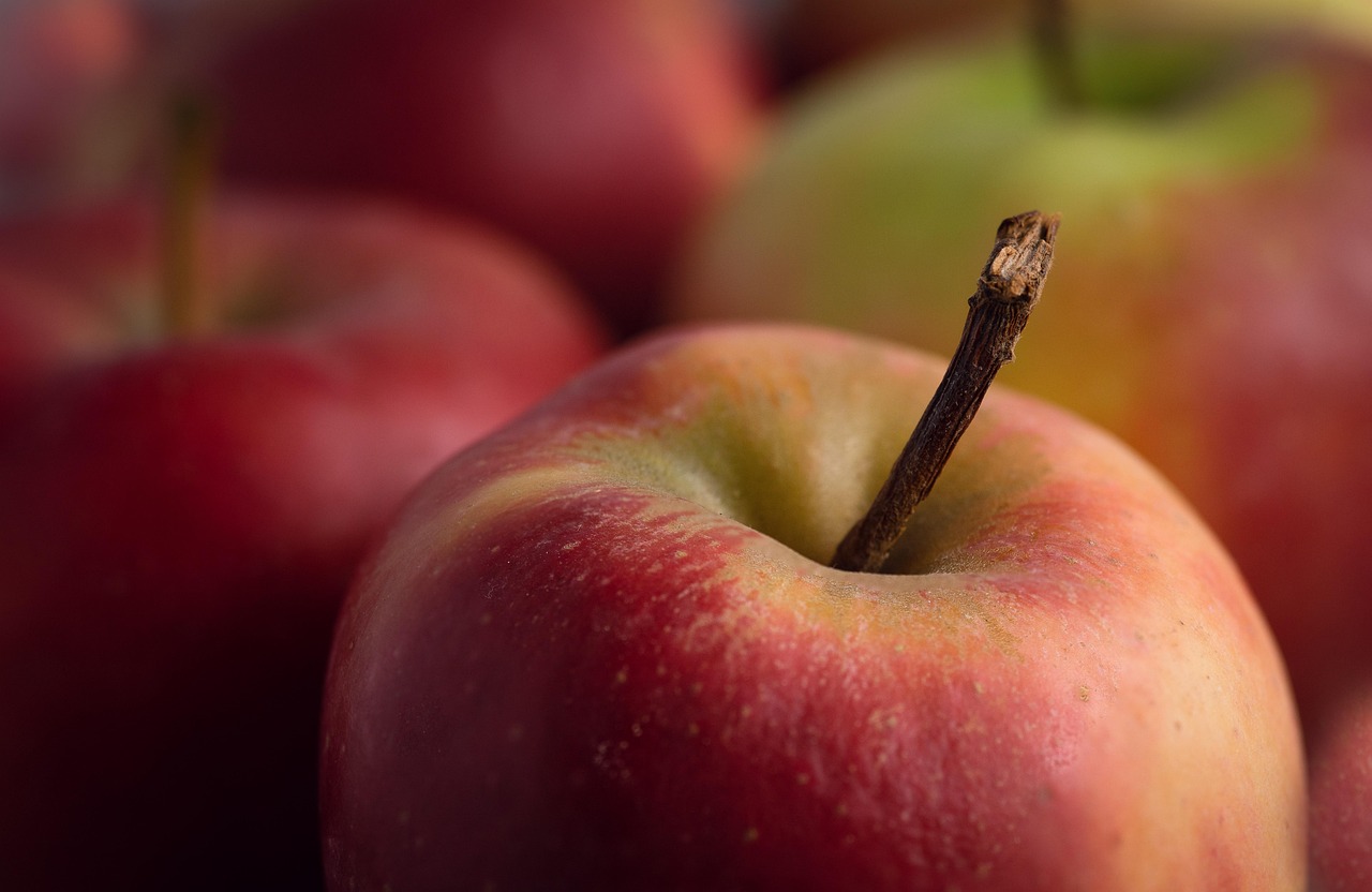 apple, healthy, red, fruit, apples, fruits, vitamins, food, harvest, power supply, ripe, delicious, health, fruit basket, fresh, to live, vitamin, close up, stem, bio, apple, apple, apple, apples, health, health, health, health, health