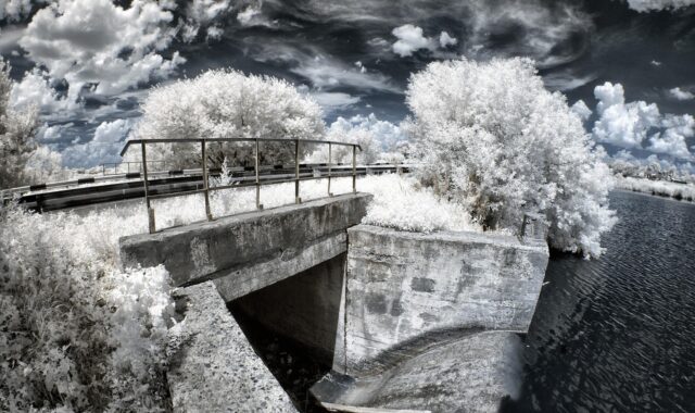 ir, infrared, landscape, tree, white, bright, swamp, nature, novomoskovsk, water, forest, reflection, ukraine, fisheye, gray forest, gray tree, infrared, infrared, infrared, infrared, infrared