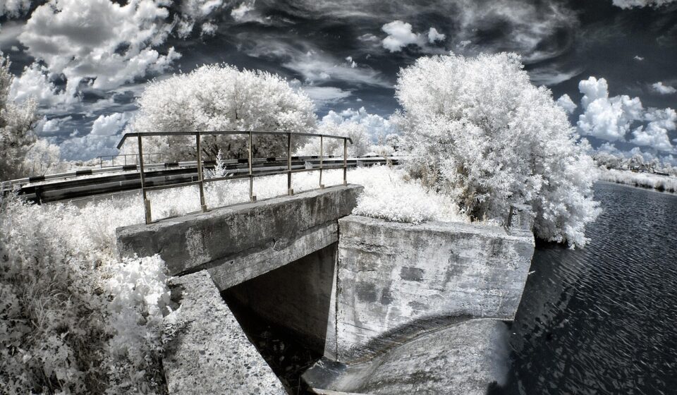 ir, infrared, landscape, tree, white, bright, swamp, nature, novomoskovsk, water, forest, reflection, ukraine, fisheye, gray forest, gray tree, infrared, infrared, infrared, infrared, infrared