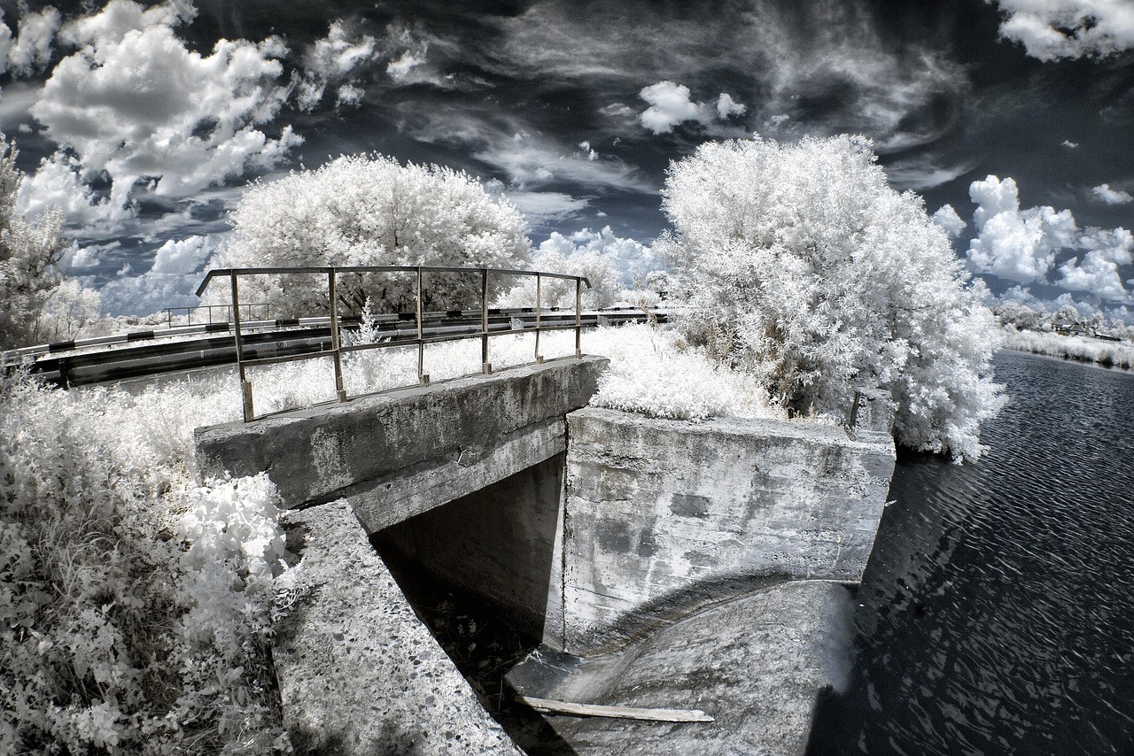 ir, infrared, landscape, tree, white, bright, swamp, nature, novomoskovsk, water, forest, reflection, ukraine, fisheye, gray forest, gray tree, infrared, infrared, infrared, infrared, infrared
